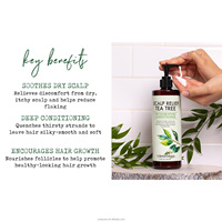 Après-shampoing Revitalisant à l'Huile d'Arbre à Thé et à l'Aloe pour Cheveux Secs et Frisés, Hydratation Profonde et Soulagement du Cuir Chevelu – Marque Blanche