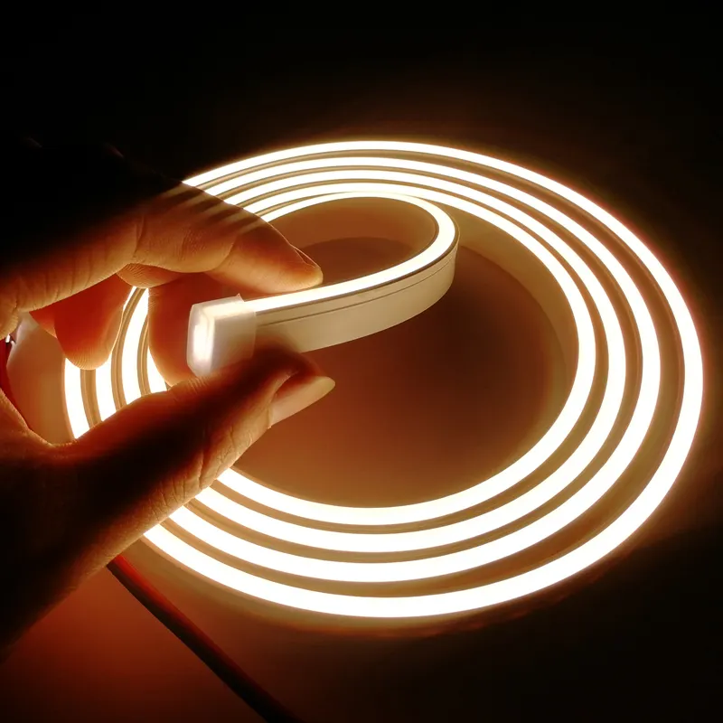 LED-Streifen Neonlichter 12V 24V 5m 10m LED-Streifen Neonlichter wasserdicht rot/blau/grün/weiß 2835 LED flexible Licht leiste