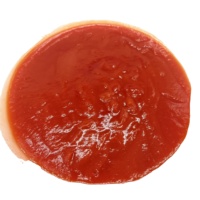Vente en gros prix d'usine de fabricants chinois Sachet de tomate pâte de tomate