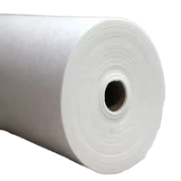 Structure compacte durable soluble dans l'eau de tissu d'interlignage non tissé de polyester de Xiangxing 100% avec la caractéristique adhésive
