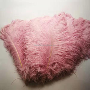 Fournisseurs en gros de grandes <span class=keywords><strong>plumes</strong></span> d'autruche <span class=keywords><strong>blanches</strong></span> de 75-80 cm pour la décoration de carnaval et de festival, <span class=keywords><strong>plumes</strong></span> d'autruche décoratives pour les mariages et les fêtes - Product Image 3
