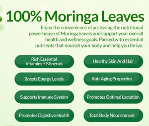 最高級オーガニックモリンガ葉粉末カプセルOEMプライベートラベルモリンガカプセル卸売販売用用量 - Product Image 4