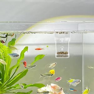 Mangeoires carrées en plastique acrylique avec ventouse Tubes d'alimentation d'aquarium flottants-coulants creux pour les porte-aliments pour poissons de crevettes - Product Image 6