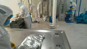 La nourriture dégradent des granules d'ail pour le traitement instantané de nouilles pour le Offre Spéciale - Product Image 6