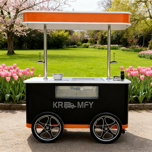 OEM Summer Vintage Classic Style Street Food Service Fiberglass Bike Cart with Ice Machine for Candy and - Product Image 1