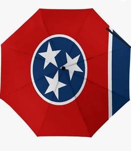 Parapluie compact avec drapeau du Dakota du Sud, résistant au vent, de haute qualité, parapluie de voyage, ouverture et fermeture automatiques, grands parapluies pour la pluie - Product Image 2