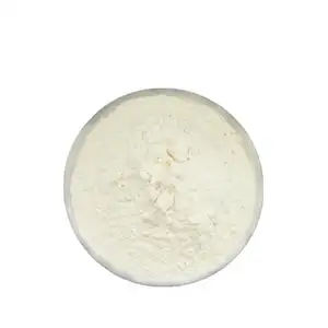 Wholesale Bulk High Quality Arabic Gum Powder Arabic Gum Food Grade