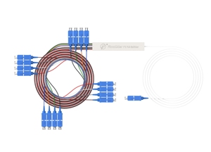Divisor PLC 2025 1X2 1X16 SC/APC, Cable PLC Desnudo para Red FTTH con Conector - Product Image 2