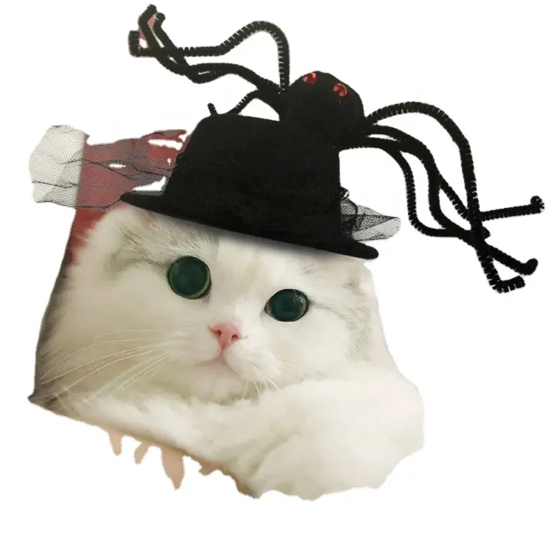 Nouvelle coiffe créative pour animaux de compagnie Halloween tête de chien Costume araignée chat chapeau drôle