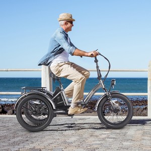 FAFREES F20 Tricycle robuste avec moteur 500W, capacité de charge de 180 kg, autonomie de 110 km, design pliable, vitesse de 30 km/h, 48V EU UK - Product Image 5