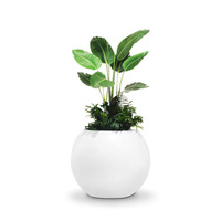Pots à fleurs décoratifs en fibre de verre légers, écologiques, haute résistance, design moderne, trou de drainage personnalisé