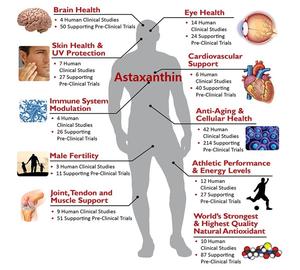 Высококачественные натуральные красные водоросли, экстракт гематококка плувиалиса, 5% порошок астаксантина - Product Image 3
