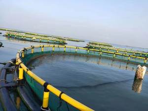 Cadre de tuyau en HDPE Cage à <span class=keywords><strong>poisson</strong></span> flottante circulaire Piège d'élevage d'aquaculture en haute <span class=keywords><strong>mer</strong></span> à vendre - Product Image 3