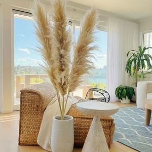 G22 bohémien Ambiance Pompas erba ideale <span class=keywords><strong>per</strong></span> composizioni floreali <span class=keywords><strong>vasi</strong></span> da pavimento alti steli di erba pampa in Beige naturale - Product Image 1