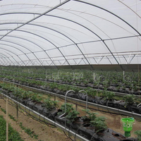 Grande serre agricole multi-chapelles à structure en acier et film PE, ventilation latérale, pour culture de légumes, tailles personnalisables