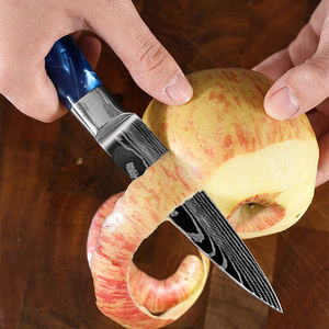 Manjia ชุดมีดเชฟนากิริเชฟสแตนเลสมี10แบบหรูหราสไตล์ญี่ปุ่น - Product Image 3