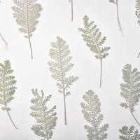 Feuilles de fleurs séchées naturelles pressées en gros pour l'artisanat DIY, feuilles séchées argentées à tiges multiples