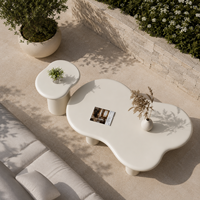 Table basse moderne en béton en forme de nuage, mobilier de maison avec base cannelée, durable et imperméable pour salon et terrasse extérieure
