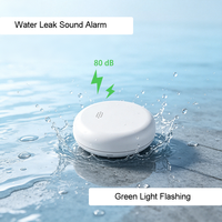 Détecteur d'alarme de fuite d'eau WiFi Tuya LD2602PL-LB avec arrêt automatique, capteur de débit et vanne d'eau étanche Lora