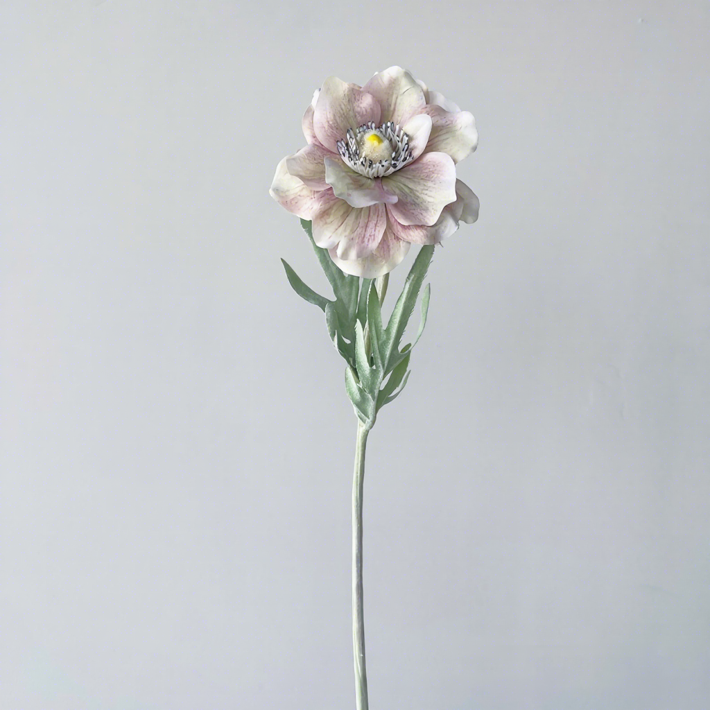 Rose vintage