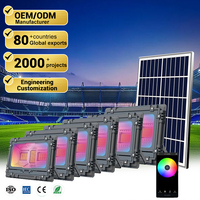 Nouvelle conception de projecteur solaire RGB étanche IP65 pour extérieur, télécommande, 60W, 100W, 200W, 300W, 500W, 800W