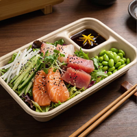 25x17cm 2-delige milieuvriendelijke magnetronbestendige recyclebare saladebox met deksel van suikerrietbagasse, wegwerp schaal voor restaurants