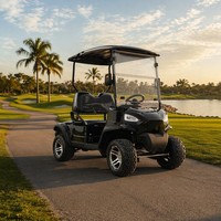 Voiturette de golf tout-terrain à moteur essence 4 temps 300 cm³ refroidi par eau avec pneus tout-terrain et propulsion arrière pour parcours de golf et complexe hôtelier