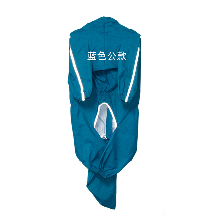 Chien mâle bleu