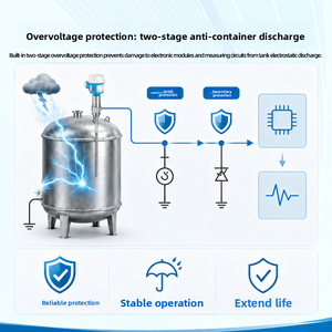 Interruptor de Nivel Capacitivo Serie FTI de E+H Endress+Hauser, Compensación Automática de Adhesión, Instrumento Original de Fábrica Hecho en China - Product Image 4