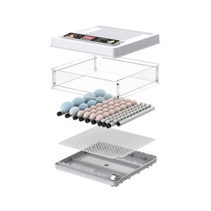 Incubateur d'oeufs de chauffage <span class=keywords><strong>fiable</strong></span> et intelligent 10 oeufs entièrement <span class=keywords><strong>automatique</strong></span> à usage domestique - Product Image 6