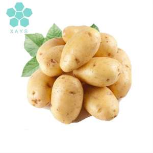 Натуральный высушенный картофельный протеин картофельный белковый изолят картофельный протеиновый порошок - Product Image 4