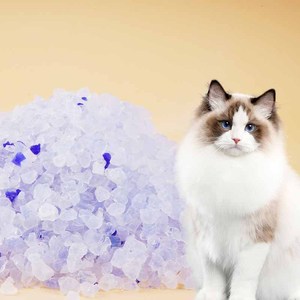 Litière pour <span class=keywords><strong>chat</strong></span> en <span class=keywords><strong>cristal</strong></span> de silice sans poussière, très absorbante, de qualité naturelle et non agglomérante, bon marché - Product Image 2