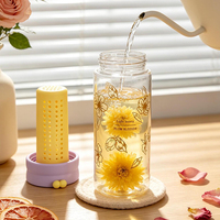 Botella de agua con infusor de frutas de 450 ml, con cesta de té extraíble, correa de silicona para transportar, disponible en stock para bebidas frías y viajes.