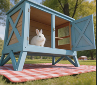 Cage à lapin pliable et portable en bois de sapin bleu ciel, motif lettres, écologique et luxueuse, pour petits animaux d'extérieur