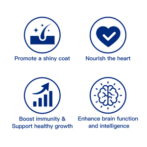 תוסף תזונה לעיסות רכות בטעם שמן דגים לחיות מחמד, OEM&ODM, עם <span class=keywords><strong>EPA</strong></span>/<span class=keywords><strong>DHA</strong></span>/ויטמינים לבריאות המוח והשיער עבור כלבים וחתולים - Product Image 3