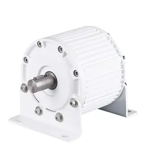 Low Speed 400W 500w 600w 800w 12V 24V 48V Permanent Magnet Generator AC Alternators Use For Wind Turbine Water Turbine