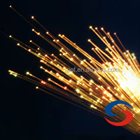 Cable de Fibra Óptica LED PMMA de 2.5mm de Calidad Premium, Resistente al Agua, con Certificación CE y RoHS, para Iluminación y Decoración de Escenarios