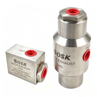 Válvula de Escape Rápido de Acero Inoxidable, Válvula Hidráulica Automotriz NPT1/2