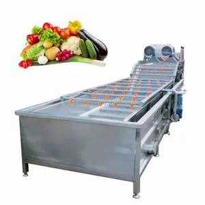 1000 Kg/u Uitverkoop Knoflook Luchtpeper Bubble Spinazie Wasmachine Avocado Verwerkingsfabriek Knoflookpoeder Machines