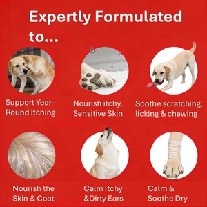 Pevet Anti-Démangeaisons Soft Chews pour Chiens <span class=keywords><strong>Antifongique</strong></span> Antibactérien pour la Perte de Poil, les Rougeurs, les Desquamation, les Croûtes, la Teigne – Fini les Démangeaisons - Product Image 4