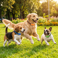 Suivi GPS pour chiens et chats, surveillance d'activité 24h/24 et 7j/7, rechargeable, nylon, tracker de forme physique pour animaux de compagnie 4G avec carte Nano SIM