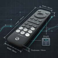 Control Remoto Inalámbrico 2.4G OEM ODM para Android TV Box Smart TV, Carcasa de ABS, 24 Teclas, Compatible con Bluetooth