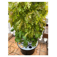 Système de jardinage aéroponique vertical amélioré pour intérieur/extérieur, petite culture hydroponique sans sol pour la culture agricole