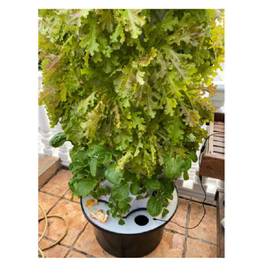 Nâng cấp trong nhà/ngoài trời khí canh tháp vườn hệ thống nhỏ dọc thủy canh soilless văn hóa cho nông nghiệp trồng trọt - Product Image 2