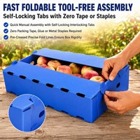 Boîte d'emballage pour pommes en PP ondulé imperméable, robuste, empilable, pour le transport de fruits frais en entrepôt frigorifique