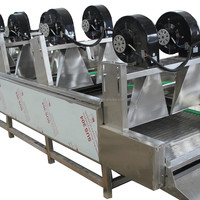 110V Goedkope Groente Dehydrator 3M Nieuw Model Industriële Groente Fruit Was- Reinigings- en Droogapparatuur
