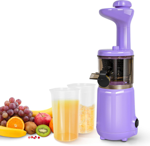 Extracteur de jus lent à froid portable mini pour fruits, citrons et agrumes – Vente en gros - Product Image 1