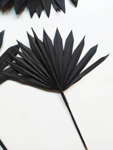Fleurs et plantes stabilisées personnalisées à prix avantageux, très demandées, pour arrangements floraux : Pampas, Palmier <span class=keywords><strong>Soleil</strong></span>, Palmier <span class=keywords><strong>Noir</strong></span> - Product Image 3