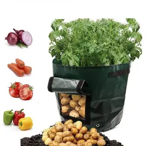 户外 7 加仑马铃薯种植袋有盖和处理曝气定制花园水培种植蔬菜种植花盆