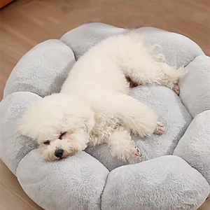 Petit lit d'hiver chaud pour animaux de compagnie moyen coussin de lit rond fleur chat tapis pour chenil et intérieur maisons et meubles de qualité supérieure pour animaux de compagnie